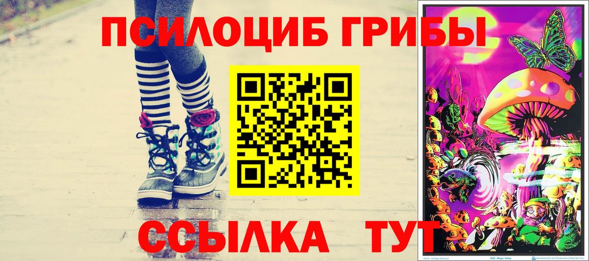 Маркс  Псилоцибиновые грибы ЛСД  Псилоцибиновые грибы мицелий  Вход с VPN 