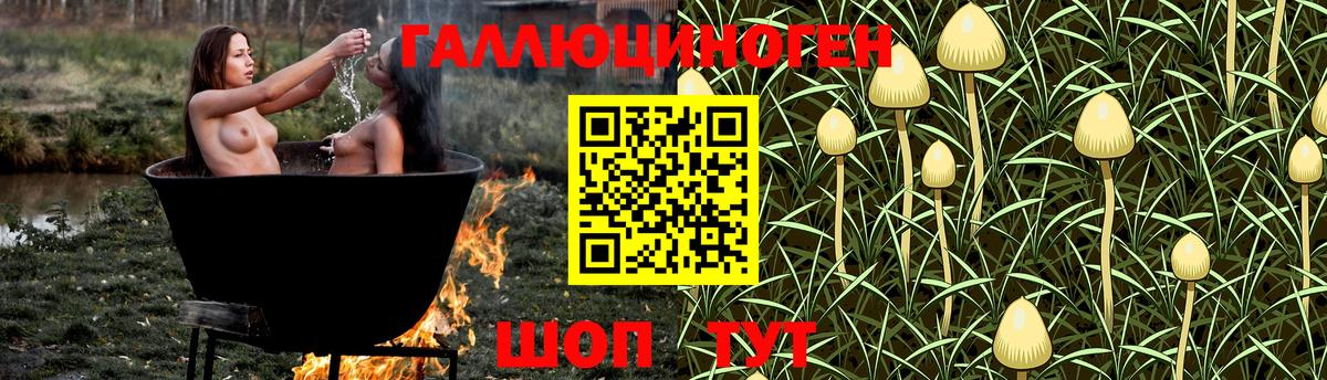 Галлюциногенные грибы ЛСД Маркс